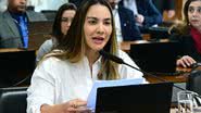 Geraldo Magela / Agência Senado