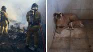 Foto: Reprodução / 15º BBM