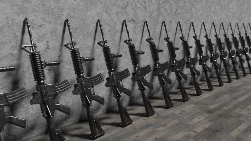 Imagem Mulher dá ‘tiro no pé’ para conseguir porte de arma; entenda o caso