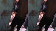 Reprodução/ Vídeo