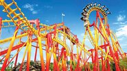 Beto Carrero World / Divulgação