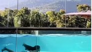 Reprodução Instagram