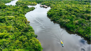 Divulgação / Depositphotos
