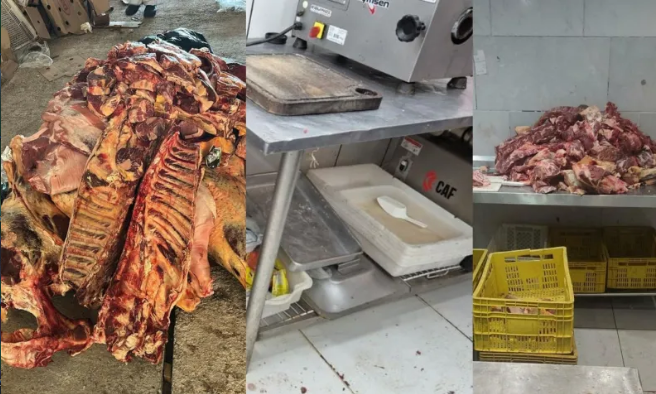 Divulgação/MPRS
