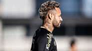 Raul Baretta/ Santos FC