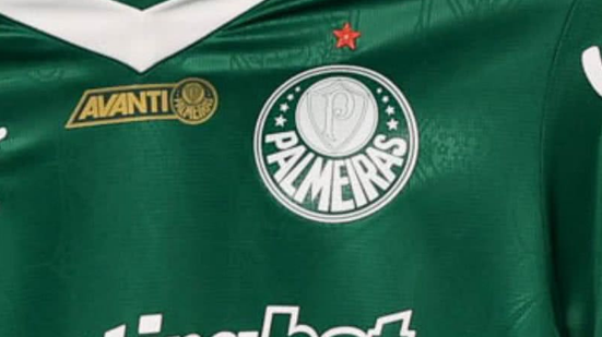 Cesar Greco / Palmeiras