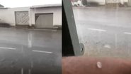 Reprodução Redes Sociais