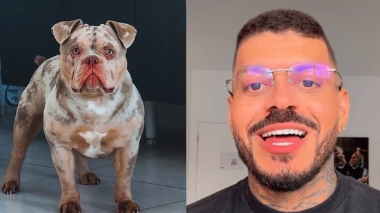 Reprodução Redes Sociais