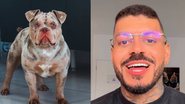 Reprodução Redes Sociais