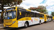 Bruno Concha/ Secom PMS