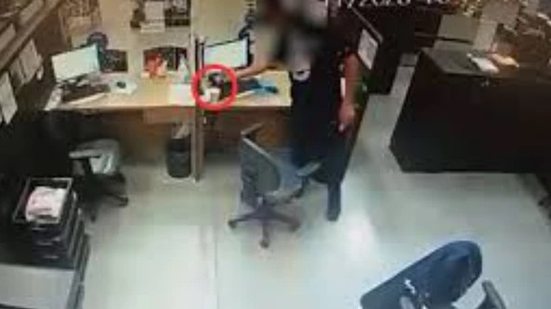 Reprodução/ PCPR