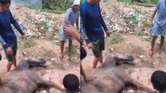 Reprodução Redes Sociais