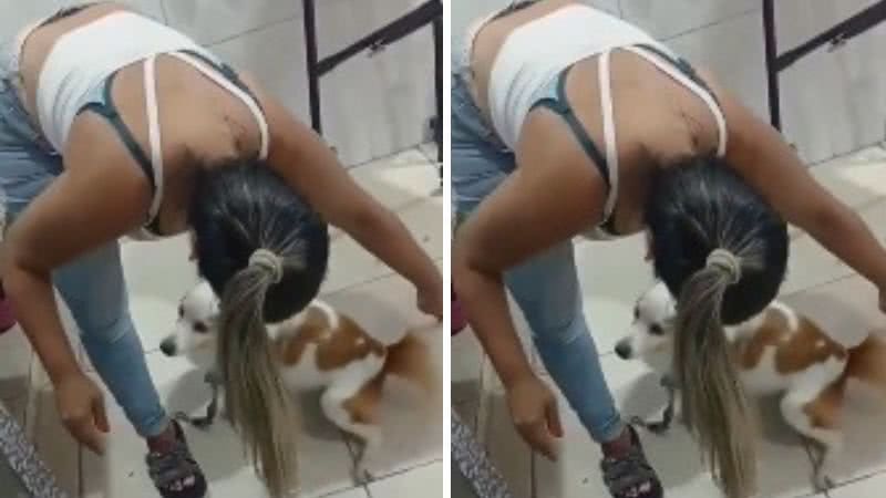 Reprodução | Redes Sociais | X | @tinojunior