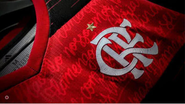 Divulgação/Flamengo