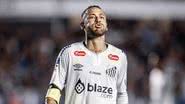 Raul Baretta / Santos FC