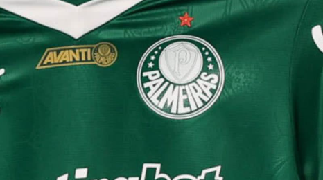 Cesar Greco / Palmeiras