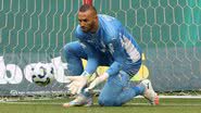 Cesar Greco/Palmeiras