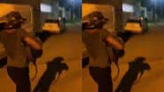 Reprodução/ Vídeo