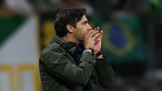 Cesar Greco/Palmeiras