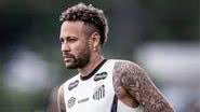 Raul Baretta/Santos FC