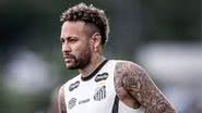 Raul Baretta/Santos FC