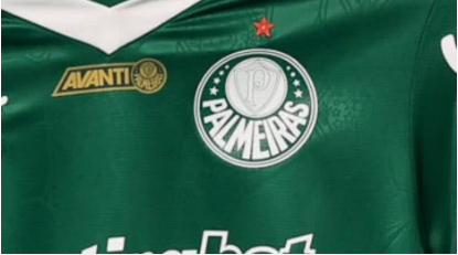 Cesar Greco / Palmeiras