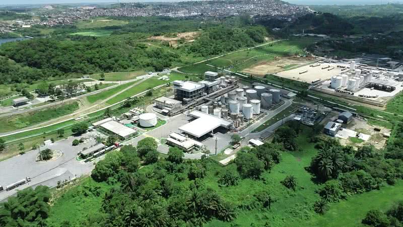 Divulgação / Petrobras Biocombustível S.A.