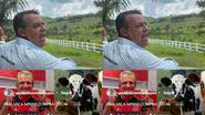 Reprodução