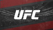 Reprodução / Redes Sociais / @UFCBrasil