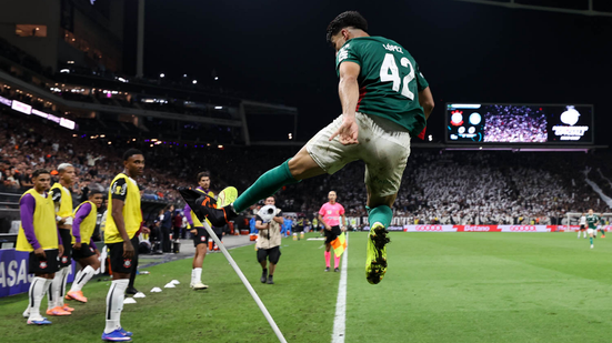 Cesar Greco/Palmeiras
