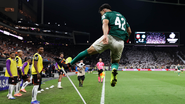 Cesar Greco/Palmeiras
