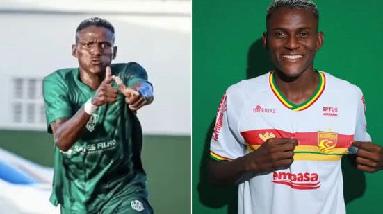 Reprodução e Divulgação