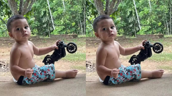Reprodução