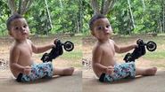 Reprodução