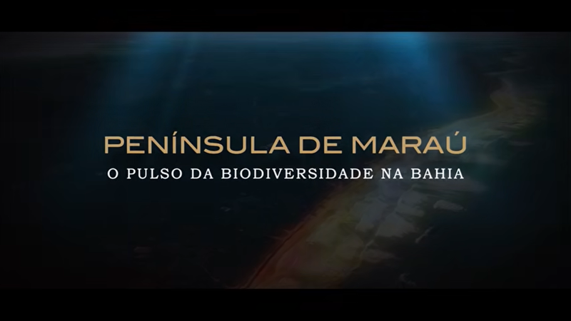 Reprodução