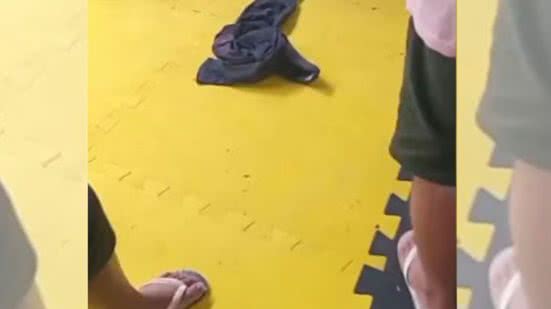 Reprodução