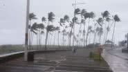 Paulo M Azevedo / BNews