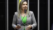 Divulgação / Câmara dos Deputados