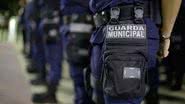 Divulgação | GCM