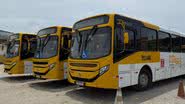 Divulgação/Ascom Semob
