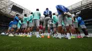 Reprodução / Cesar Greco / Palmeiras