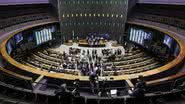 Reprodução / Kayo Magalhães / Câmara dos Deputados