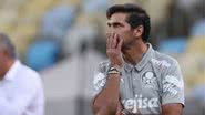 Cesar Greco / Palmeiras