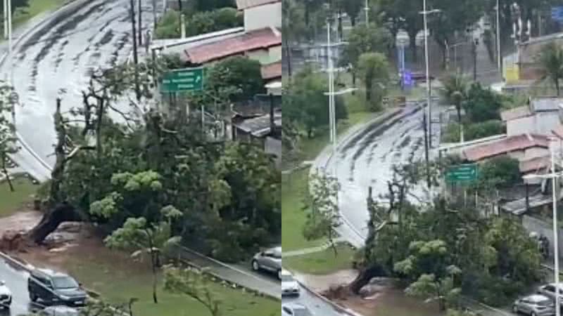Reprodução / BNews