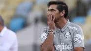 Cesar Greco / Palmeiras