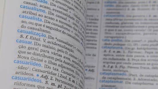 Reprodução/Câmara dos Deputados