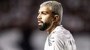 Raul Baretta / Santos FC