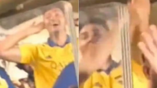 Reprodução