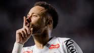 Raul Baretta / Santos FC