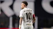 Raul Baretta/ Santos FC